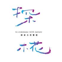 探椛