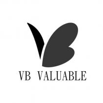 VB VALUABLE 及設計圖