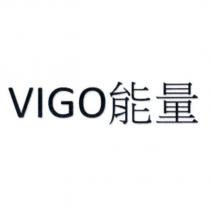 VIGO 能量