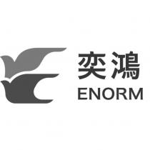 奕鴻 ENORM 及圖