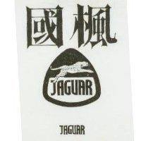 國楓及圖 JAGUAR