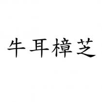 牛耳樟芝