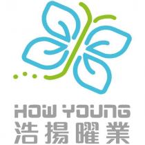 浩揚曜業 HOW YOUNG 及圖