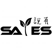 說有 SAYES 設計字及圖