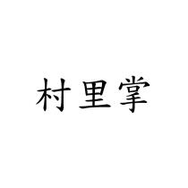 村里掌