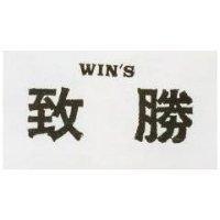 致勝 WIN'S