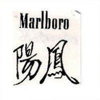 鳳陽 MARIBORO