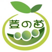 荳の苗及圖