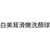 白美茸滑嫩洗顏球