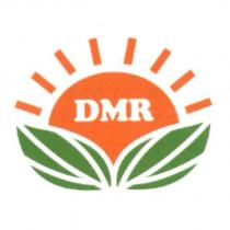 DMR 及圖