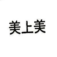 美上美
