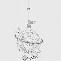滿天星 Gypsophila 及圖