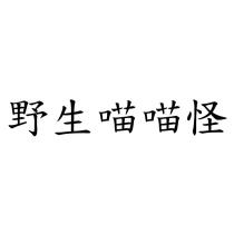 野生喵喵怪