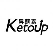 昇酮素及 Ketoup 設計字