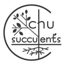 chu succulents 設計圖