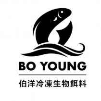 BO YOUNG 伯洋冷凍生物餌料及圖