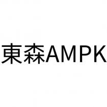 東森 AMPK