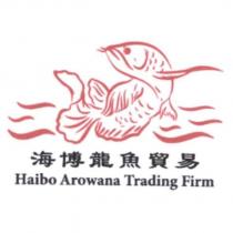 海博龍魚貿易 Haibo Arowana Trading Firm 及圖