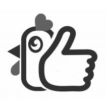 雞設計圖