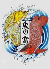 魚の窩及圖