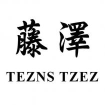 藤澤 TEZNS TZEZ