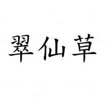翠仙草