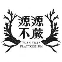 源源不蕨 YUAN YUAN PLATYCERIUM 及圖