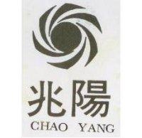 兆陽及圖 CHAO YANG 