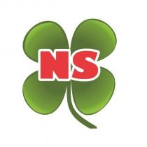 NS 及圖