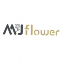 MJ flower 及圖