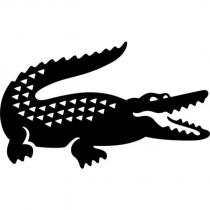 CROCODILE DESIGN