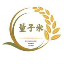 量子米及圖