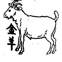 金羊