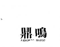 鼎鳴 AEROBIC HANDS 