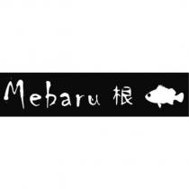 Mebaru 根設計圖