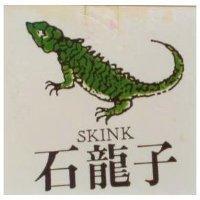 石龍子及圖