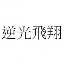 逆光飛翔