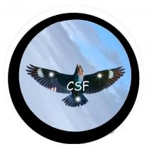 CSF 及圖