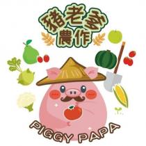 豬老爹農作及圖 PIGGY PAPA