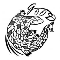甲組 gooD 及圖