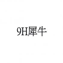 9H 犀牛