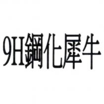 9H 鋼化犀牛