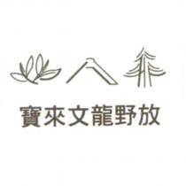 寶來文龍野放及圖