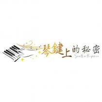 Secrets on the piano 琴鍵上的秘密及圖