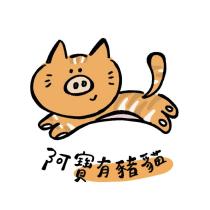 阿寶有豬貓及圖