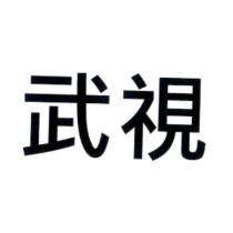 武視