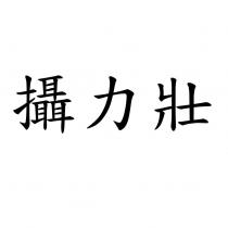 攝力壯