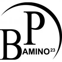 BP AMINO23 及圖