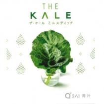 Q'SAI 青汁 THE KALE 設計圖