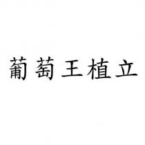葡萄王植立